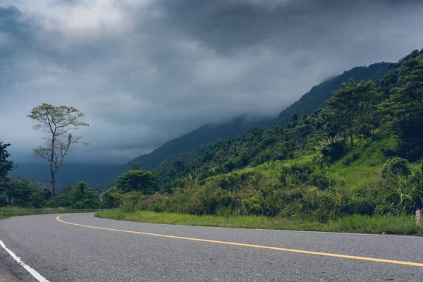 Dağ Bokor Milli Parkı içinde yeni düzgün asfalt yol. Çevre Kampot, Kamboçya.  