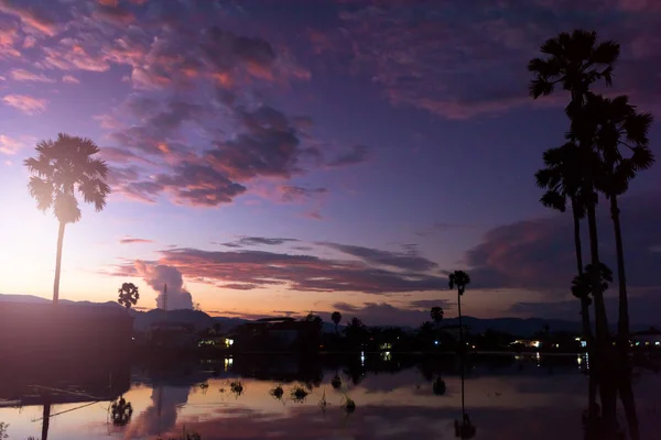 Sunset with small pond and palm trees growing in. Kampot City, Cambodia