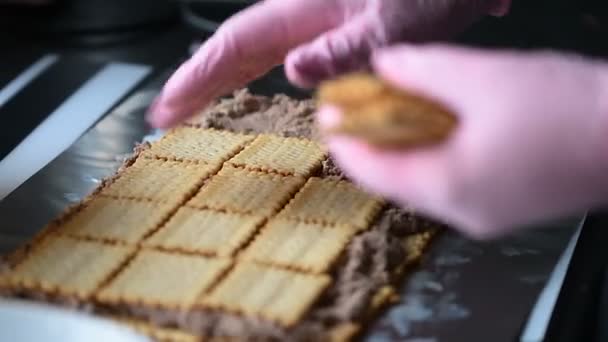 Femmes Avec Des Gants Roses Préparant Gâteau Fait Maison Shes — Video