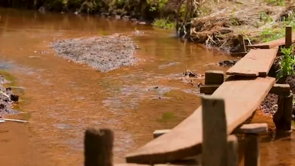 Schone Stroom Van Het Water Stroomt Rode Aarde Van Kambodja — Stockvideo