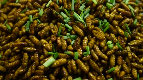カンボジアの夜の屋台市場乾燥やグリルした幼虫ワームのシャープなディテール アップ — ストック動画
