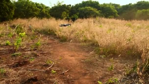 Kleine Drone Landt Rode Cambodjaanse Grond Omgeven Door Gras Weide — Stockvideo