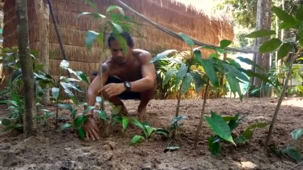 Hombre Camboyano Está Plantando Con Cuidado Pequeñas Plantas Árboles Pueblo — Vídeo de stock