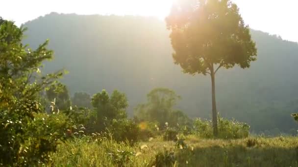 Bela Vista Paisagem Com Montanhas Árvore Pôr Sol Fundo Koh — Vídeo de Stock