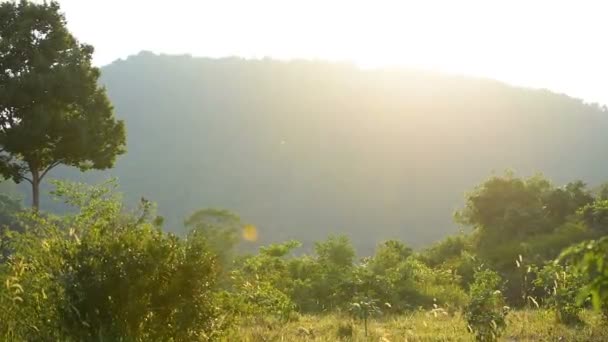 Bela Vista Paisagem Com Montanhas Árvore Pôr Sol Fundo Koh — Vídeo de Stock