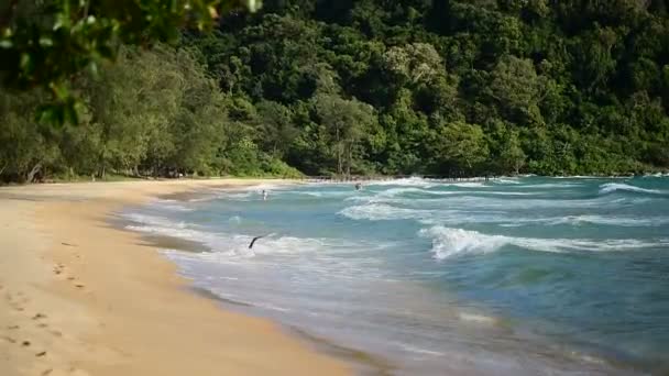 Kusten Lazy Beach Koh Rong Samloem Tropiska Solig Sommar Blåsig — Stockvideo