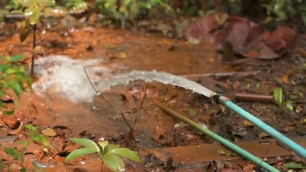 カンボジアの赤い地面にまっすぐホースから流れるきれいな水 — ストック動画