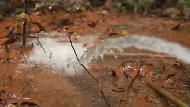 Agua Limpia Que Fluye Manguera Directamente Suelo Rojo Cambodiano — Vídeos de Stock