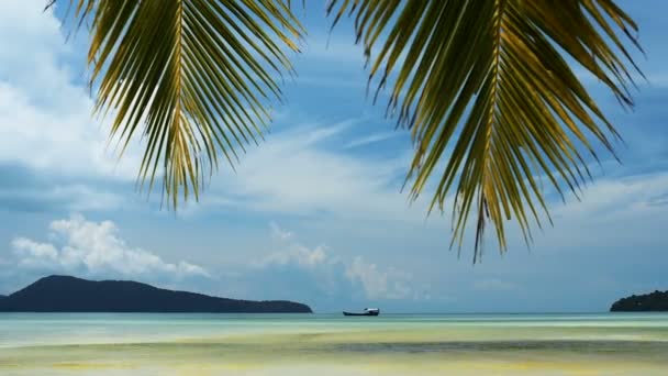 View Tropical Saracen Bay Beach Palm Leaves Sky Koh Rong — Stock Video