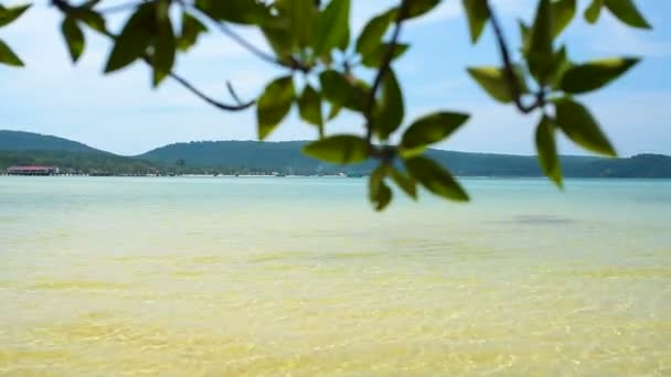 日当たりの良い熱帯島サラセン ビーチの眺め Samloem カンボジア — ストック動画