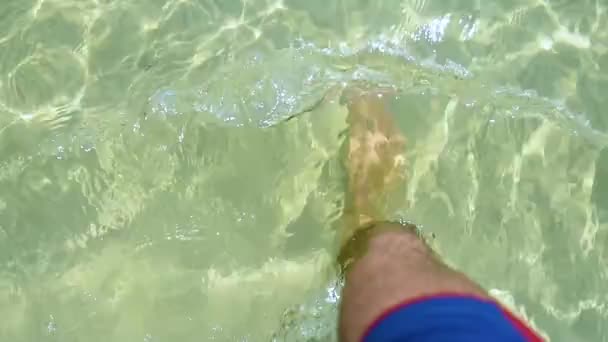 スローモーションできれいな熱帯水の中を歩く男 晴天の日の楽園の島 — ストック動画