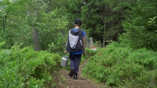 男の子1人で歩くアルミニウムの森の中でブルーベリーの完全なことができます 夏の森の中で — ストック動画