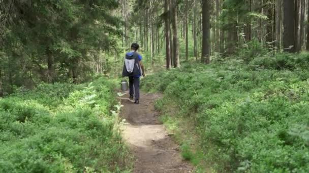 Niño Caminando Solo Bosque Con Lata Aluminio Llena Arándanos Verano — Vídeo de stock