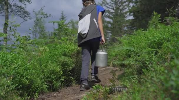 Garçon Marchant Seul Dans Forêt Avec Une Boîte Aluminium Pleine — Video