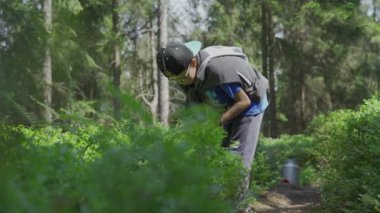 Temmuz 2020 - Lubawka, Polonya. Genç çocuk alüminyum süt kutusuna yabanmersini topluyor. Yaz mevsimi Kozalaklı ormanlarda. 