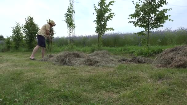 Молодой фермер сгребает сено из сухой травы. 4K — стоковое видео