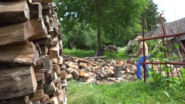 Une pile de bois coupé et un agriculteur brouillé préparent du bois de chauffage dans la cour. 4K — Video