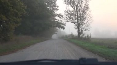 Araba sürücüyü yoğun sis sonbahar renk ağaçların arasında kırsal çakıl yol doğru. Araba ön pencere cam görünümü erken sabah. 4k