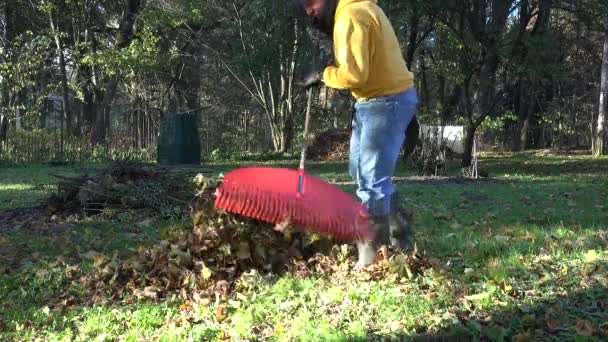 Arbeiter harken Herbstlaub im Hinterhof. Saisonarbeit im Herbst. 4k — Stockvideo