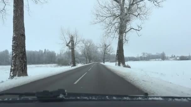 Car drive on icy winter road and frosted trees alley. 4K — Stock Video