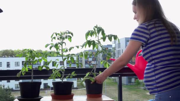 フラット家バルコニーで水まき缶で妊婦妻水植物花 — ストック動画