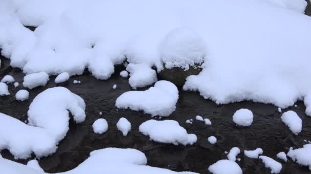 Paisaje de invierno pequeño arroyo en el bosque. 4K — Vídeo de stock