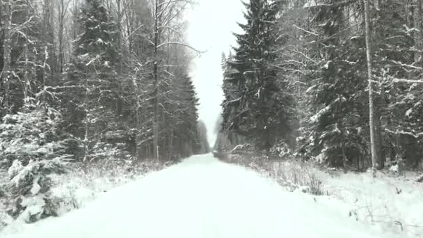 Ехать по заснеженной дороге в зимнем лесу. 4K — стоковое видео
