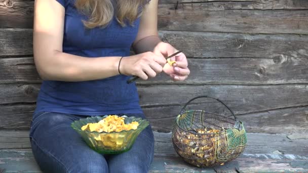 Mujer agricultora manos limpias champiñones cantarela en la granja. 4K — Vídeo de stock