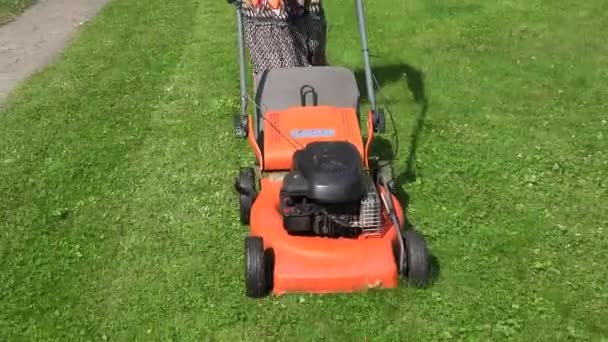 Mulher camponesa no vestido empurrar gramado cortar grama com cortador de grama. 4K — Vídeo de Stock