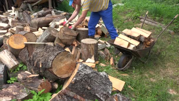 Villager man guy load chopped firewood to rusty wheelbarrow. 4K — Stock Video