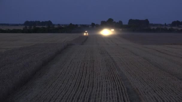 Kombinovat, čištění pšenice ječmen pole rostlin v noci. 4k — Stock video