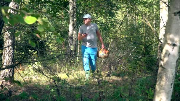 Hombre con la cesta llena de setas en busca de su señal GPS en el teléfono inteligente — Vídeos de Stock