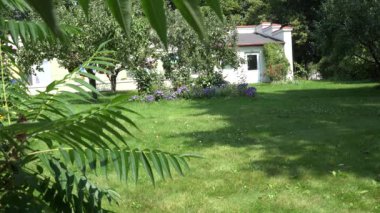 adam çim kesici ve itme Çiçeklik yakınındaki başlatın. Yaprakları görüntüleyin. 4k