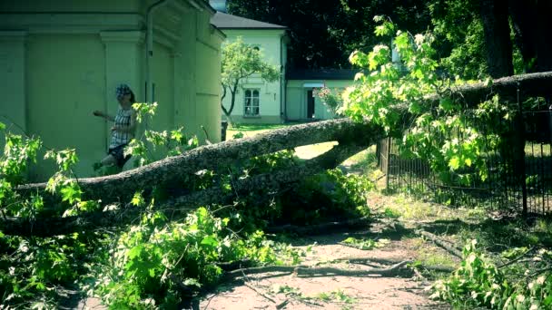 Žena lezení přes padlý strom na vchodu do dvora domu. — Stock video