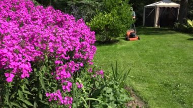 Erkek bahçede çim kesme biçme bastırıyor. 4k