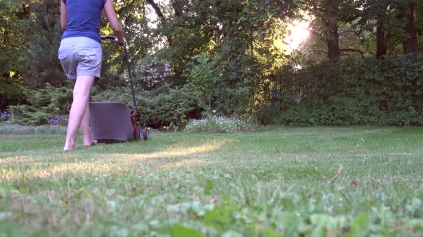Kvinna gräsklippning gräsmatta i bostadsområdet trädgården på soliga kvällen. 4k — Stockvideo