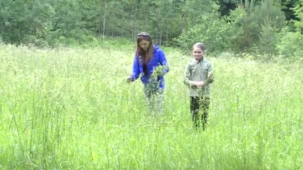 Madre e sua figlia raccolgono fiori in vacanza di mezza estate — Video Stock