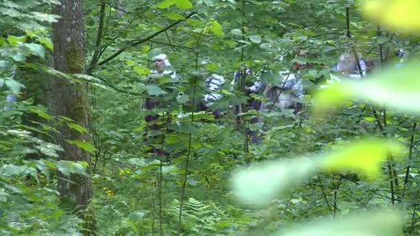 As pessoas caminham pela floresta — Vídeo de Stock