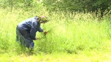 Kadın çiçek çayır çiçek almak