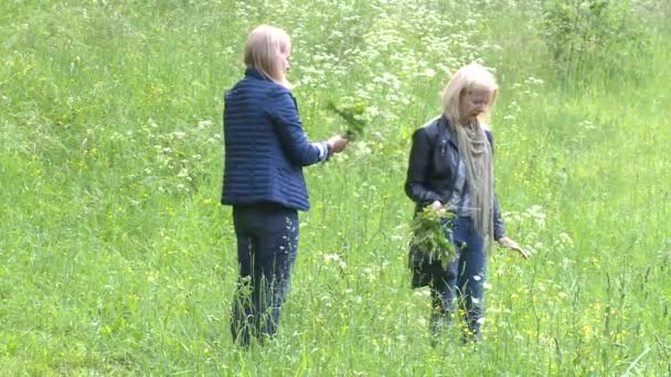 Dvě blond vlasy ženy přátelé sbírat květiny a aby koruny. svátek letního slunovratu — Stock video