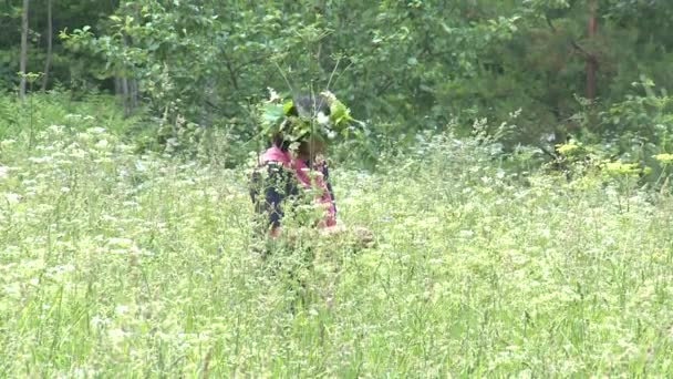 Mujer con corona de flores recoger plantas entre hierba alta en el prado — Vídeo de stock