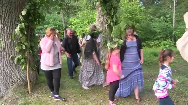 Personer på midsommar — Stockvideo