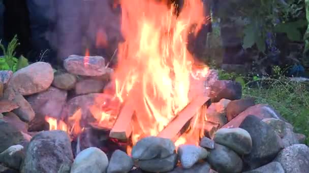 Des rituels païens. Prêtre jeter de la poudre dans la cheminée entourée de personnes — Video