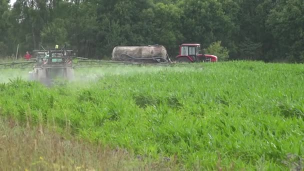 Productos químicos pulverizadores de tractores para la protección de las plantas de maíz contra plagas de malas hierbas. 4K — Vídeo de stock