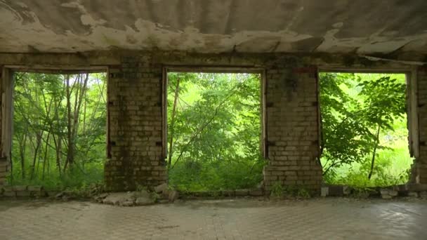 Ruinerna av ett övergivet tegelhus och träd växer utomhus. — Stockvideo
