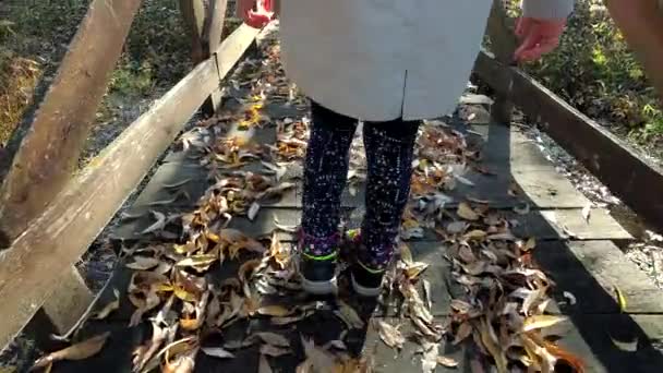 Niña caminar a través de puente de madera cubierto con hojas de otoño — Vídeos de Stock