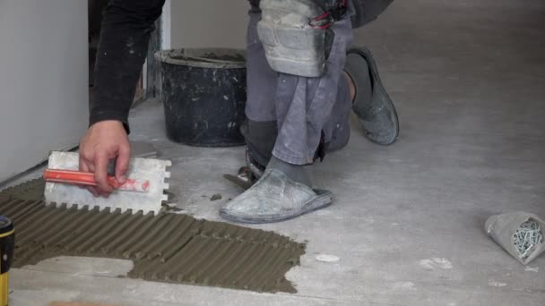 Hombre aplicar cemento pegamento en el suelo y poner azulejo hexágono — Vídeos de Stock