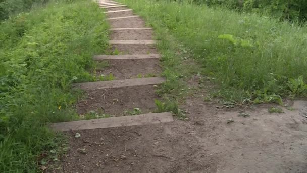 Escaliers vers le bas au point de vue de monticule avec des bancs — Video