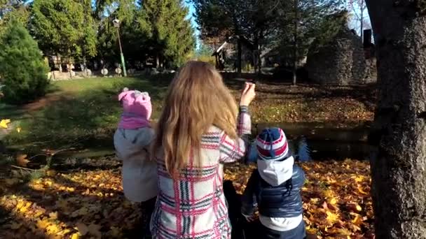 La mère avec des enfants nourrissent des canards avec le pain sur l'eau de fleuve en automne — Video