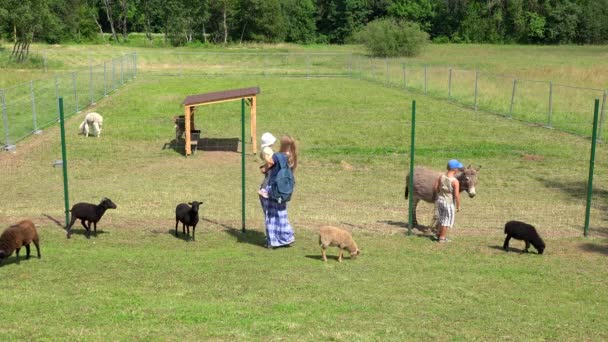 Mother holding her little daughter on hands between many farm animals in zoo — Stock Video